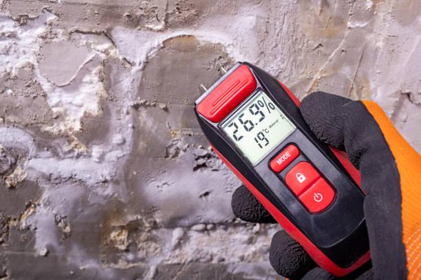 Mold Testing and Removal in Randolph Af, TX